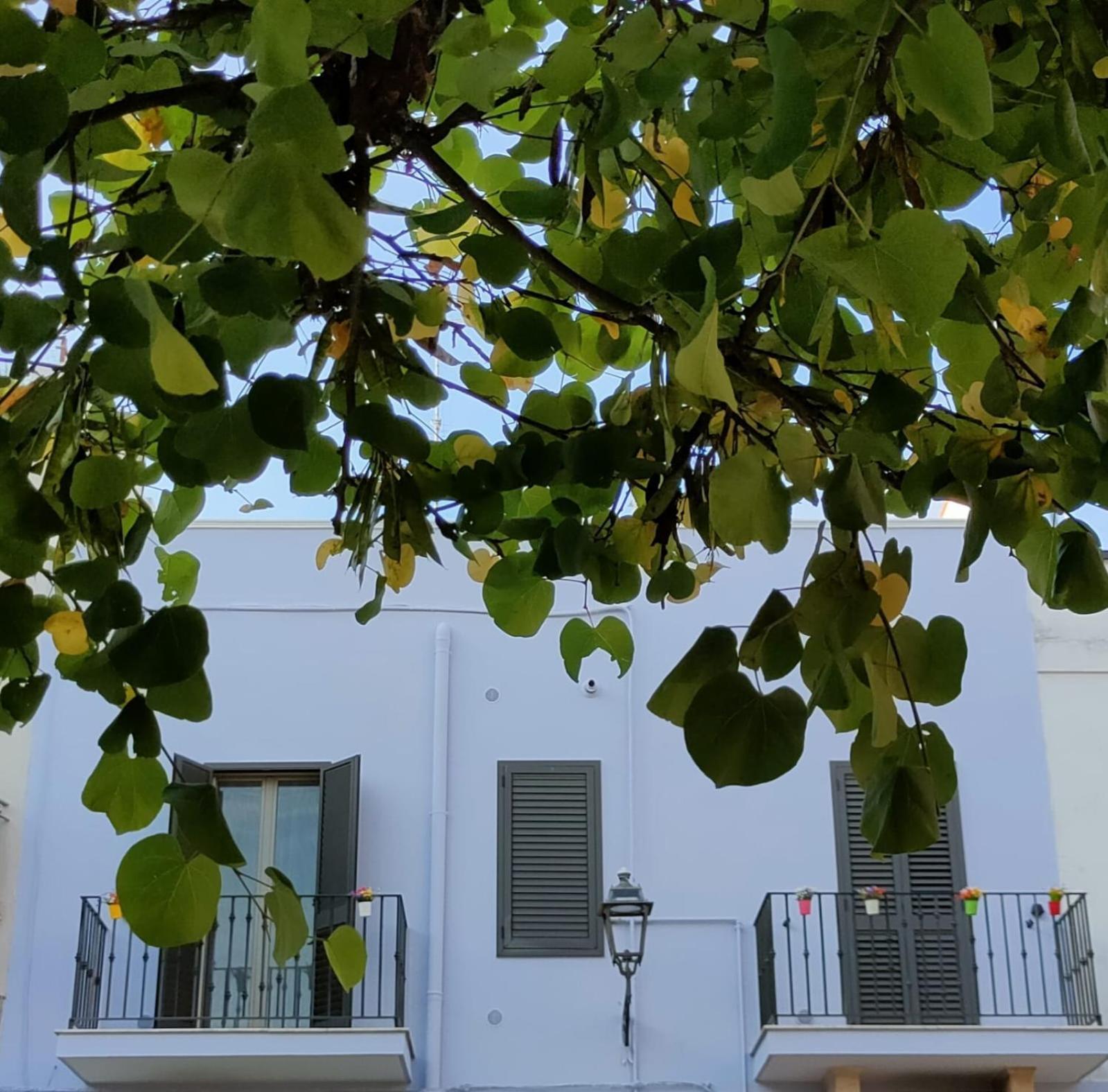 Storm Sonic House Apartment Palo del Colle Luaran gambar